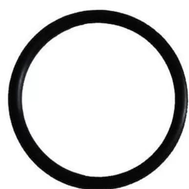 Kroužek těsnicí 38x3,5 (č. 5099) k tělesu 5/4" TO-20 – 6273107